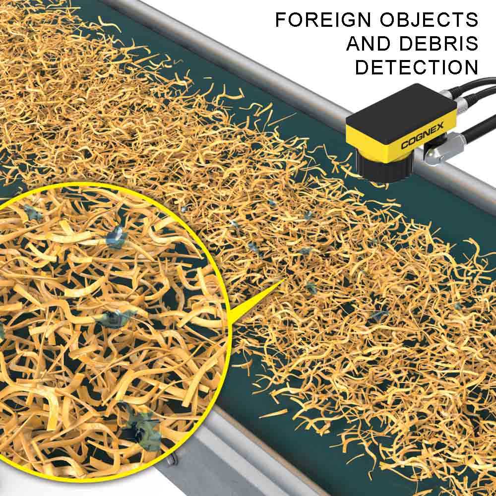 foreign objects and debris detection cognex